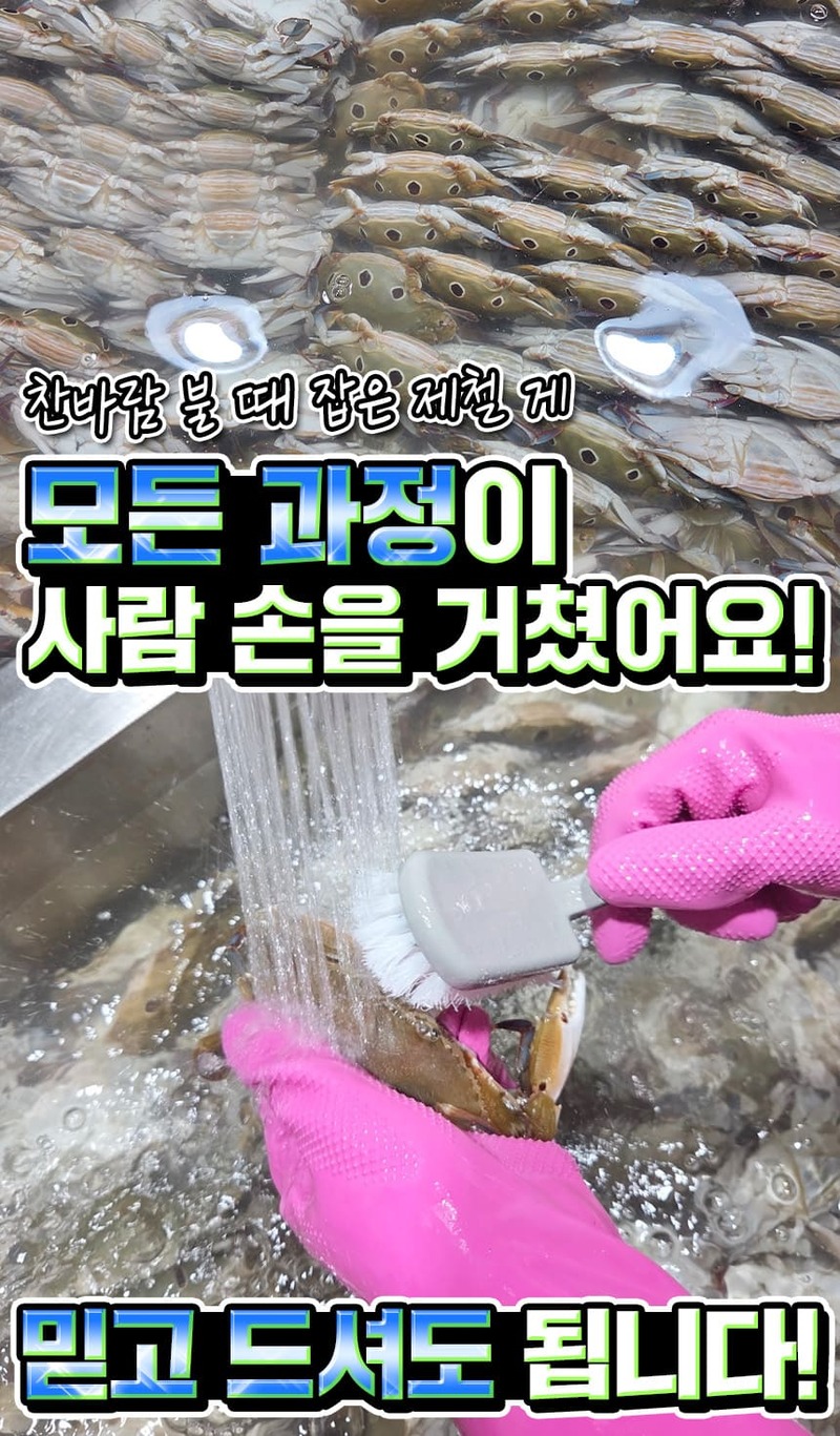 알이 꽉찬 수율좋은 한방 삼점 암꽃게장 2KG + 2KG 상세 이미지 5
