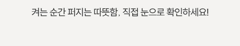 이노크아든 무타공 초저소음 PTC 욕실난방기 전기 온풍기 IA-MFH620C 상세 이미지 12