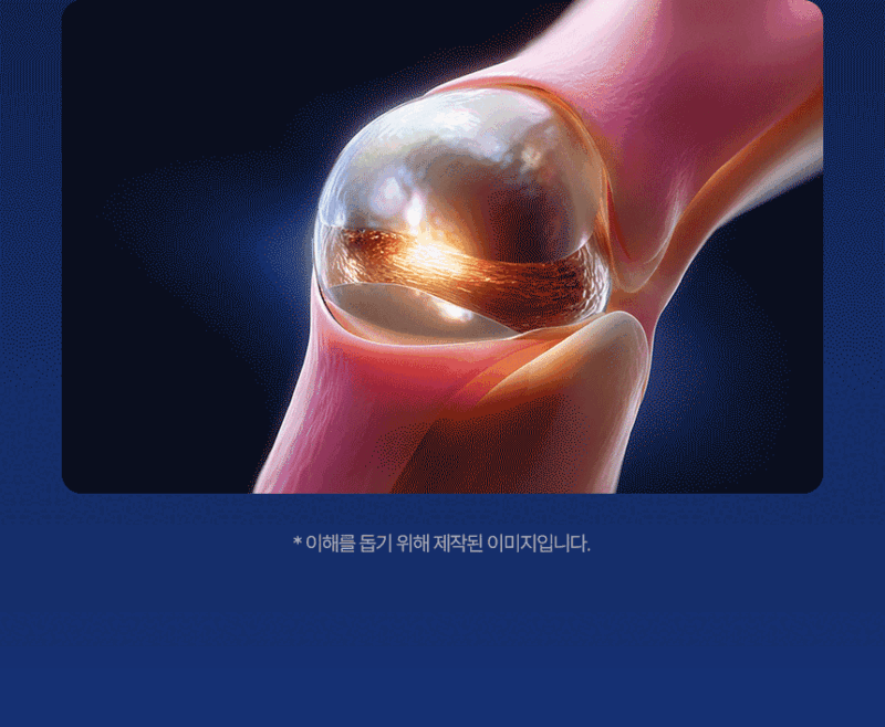 백관정 초심 소연골 콘드로이친 1200 관절 MSM 보스웰리아 MBP 600mg x 60정 상세 이미지 21