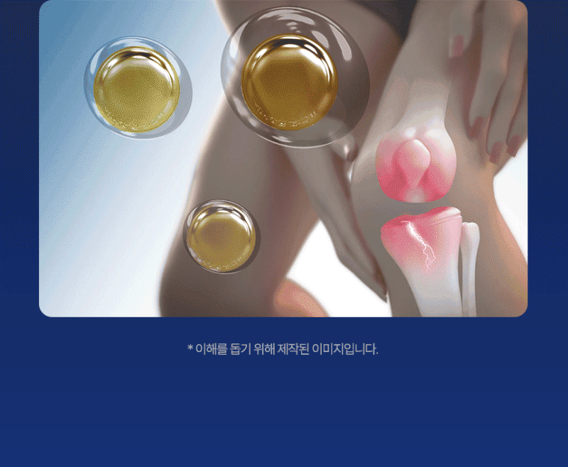 백관정 초심 소연골 콘드로이친 1200 관절 MSM 보스웰리아 MBP 600mg x 60정 상세 이미지 23