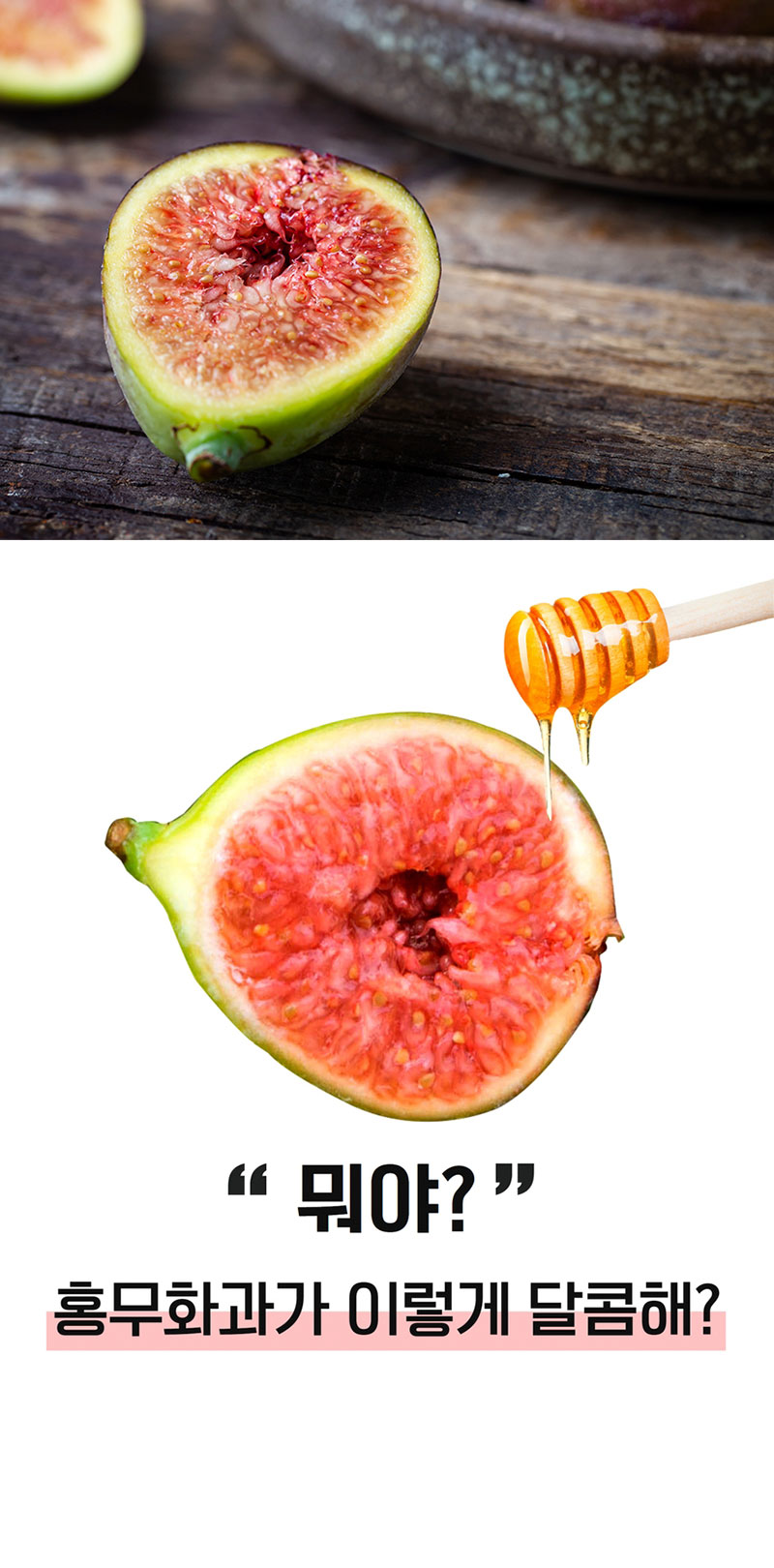 해남별 고당도 해남 당일수확 햇 홍무화과 2kg 상세 이미지 8