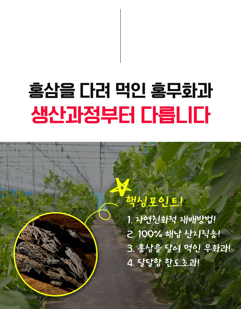 해남별 고당도 해남 당일수확 햇 홍무화과 2kg 상세 이미지 9