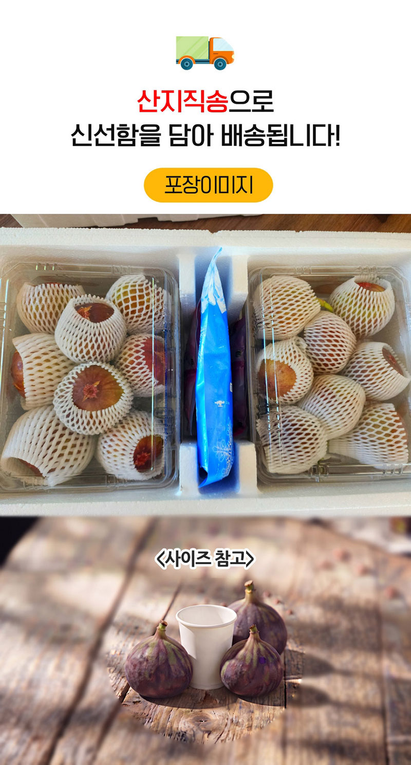 해남별 고당도 해남 당일수확 햇 홍무화과 2kg 상세 이미지 13