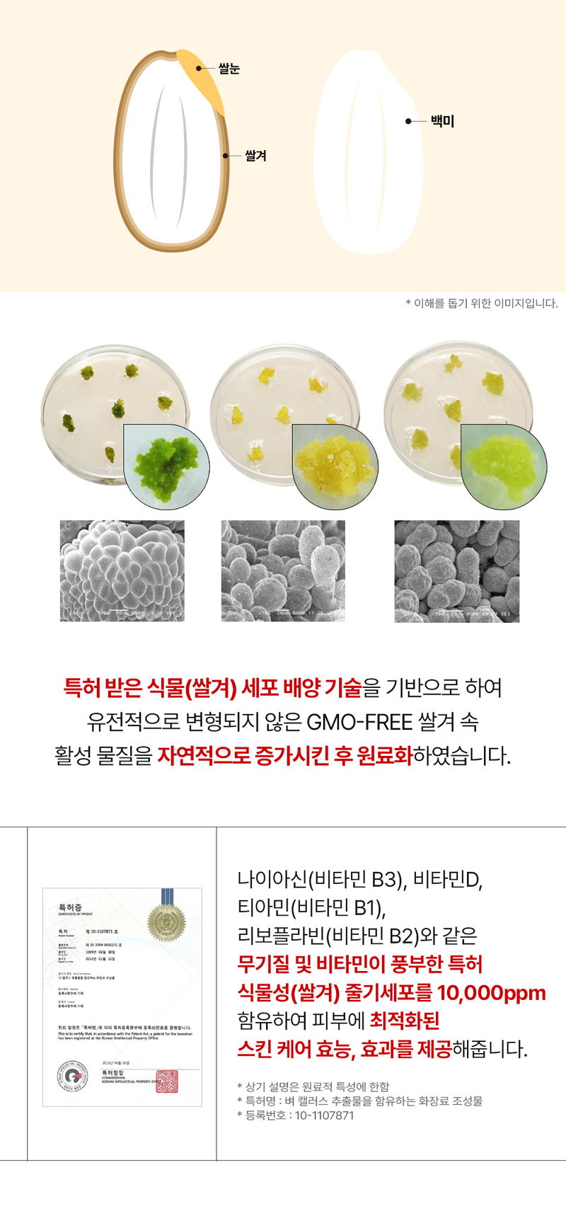 디퍼앤디퍼 레드 엑소좀 스킨부스터 스타터팩 Red Exosome Skin Booster Starter Pack 상세 이미지 33