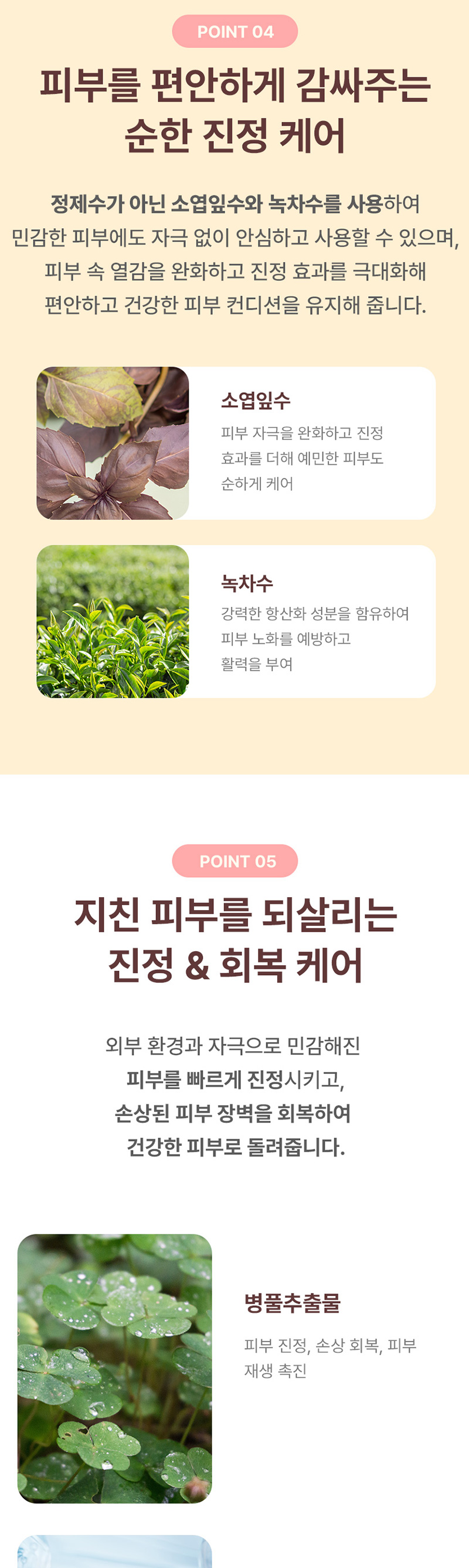 [청아미인] RG 진세노사이드 에센스 100ml 상세 이미지 7