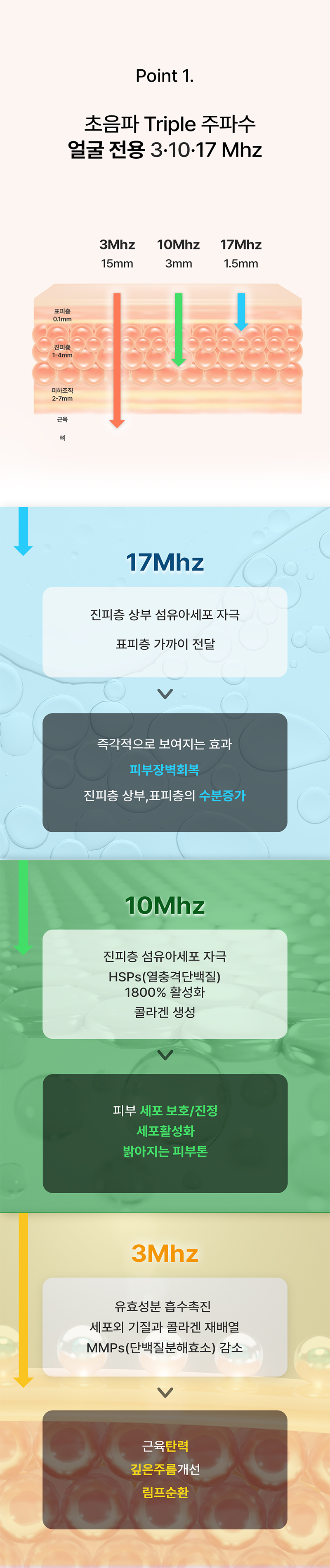 에스텔라 페이스 상세 이미지 4