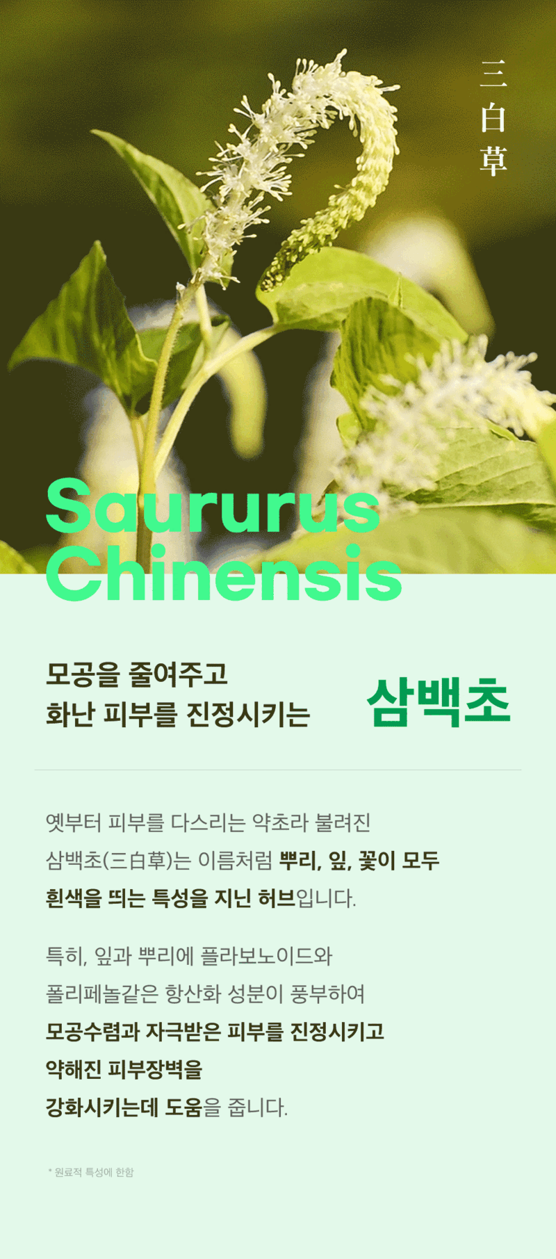 뷰망뜨 삼백초 미스트 상세 이미지 11
