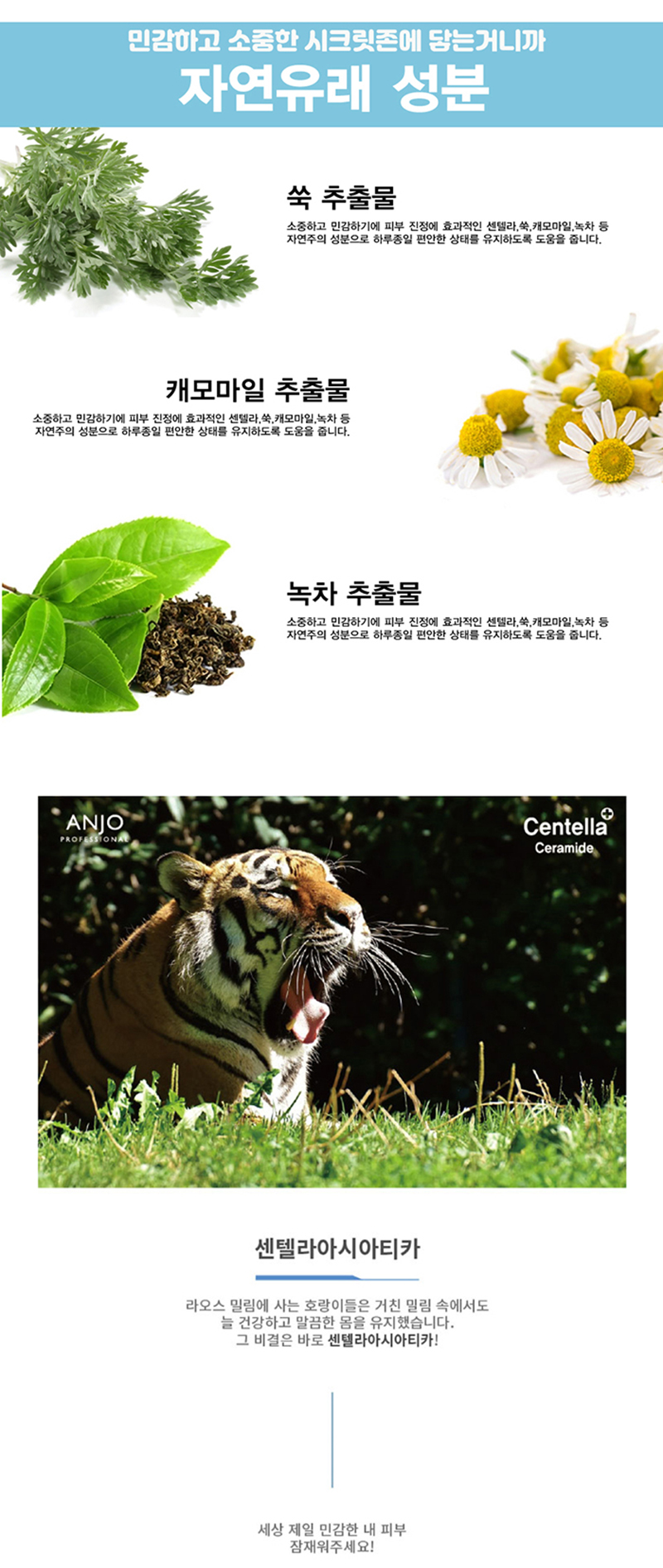 [앙쥬] 나의 시카 여성청결제 500ml 상세 이미지 7