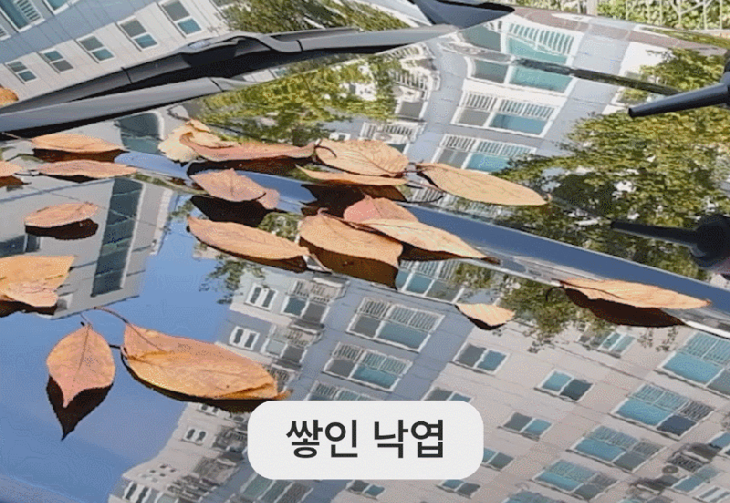 에코너-T8 핸디형 무선 진공 청소기 상세 이미지 3