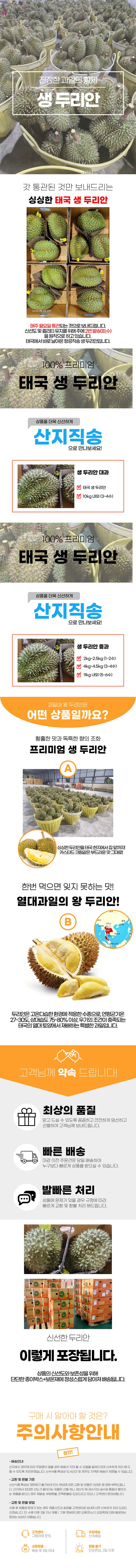 진정한 과일의 황제 생두리안 2.8kg 2수 상세 이미지 2