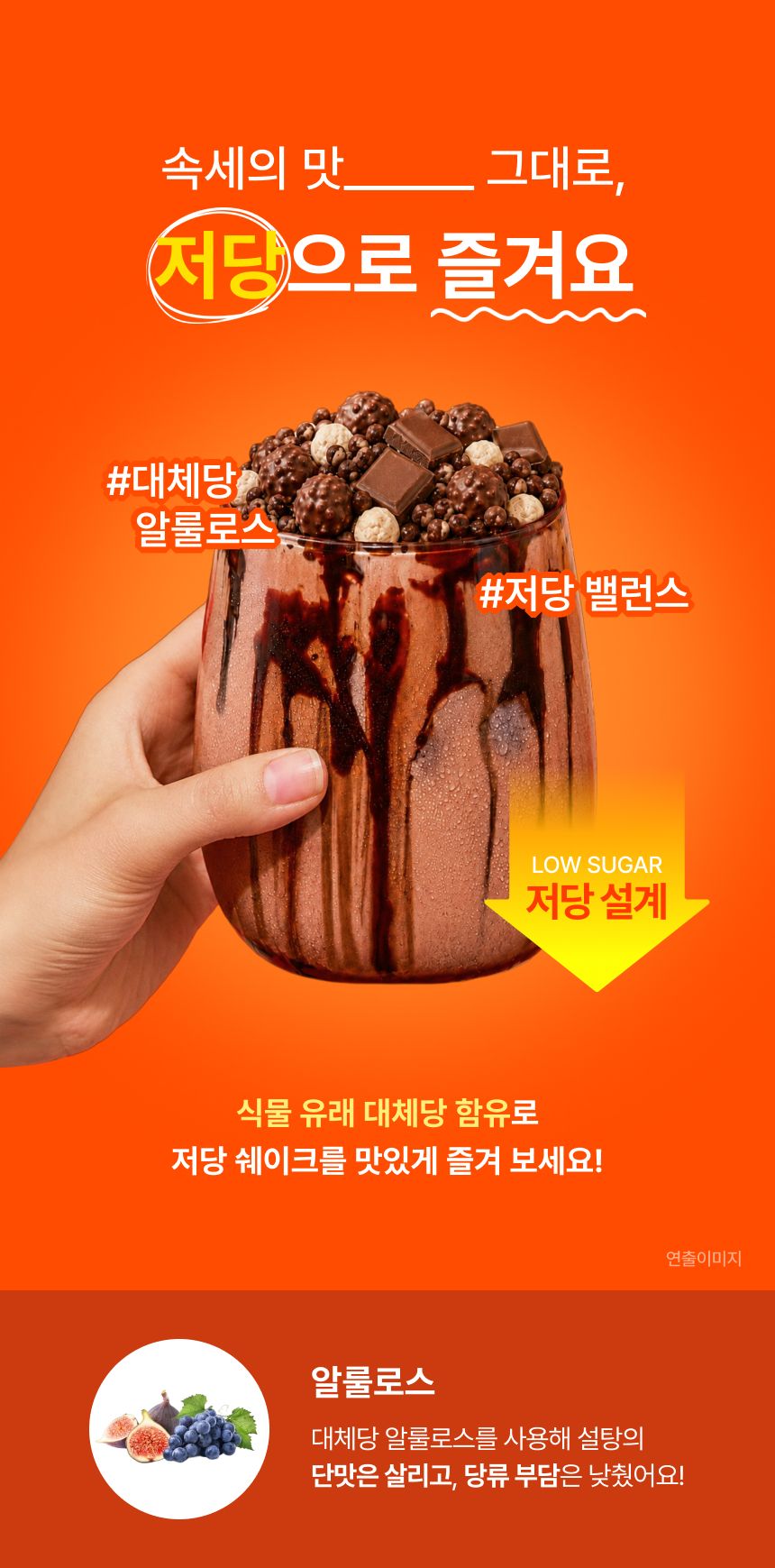 뉴시아 다이어트 쉐이크 그레인 상세 이미지 12