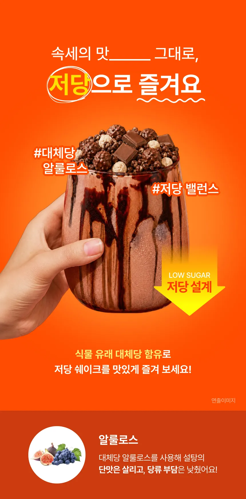 뉴시아 다이어트 쉐이크 그레인 상세 이미지 12