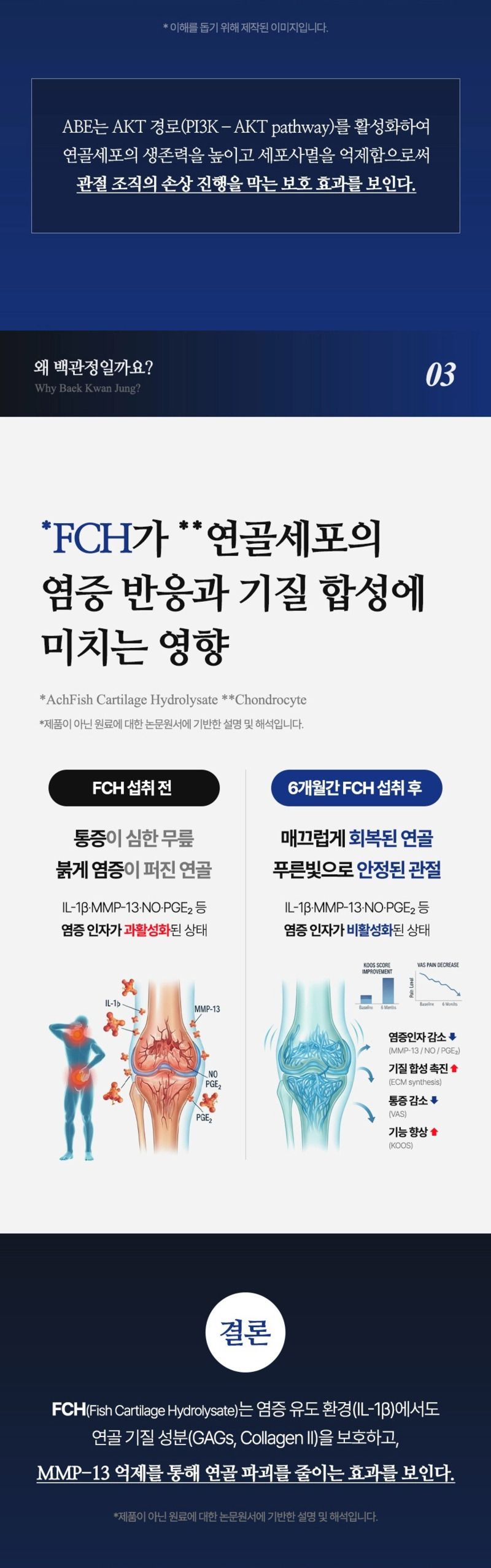 백관정 초심 소연골 콘드로이친 1200 관절 MSM 보스웰리아 MBP 600mg x 60정 상세 이미지 20