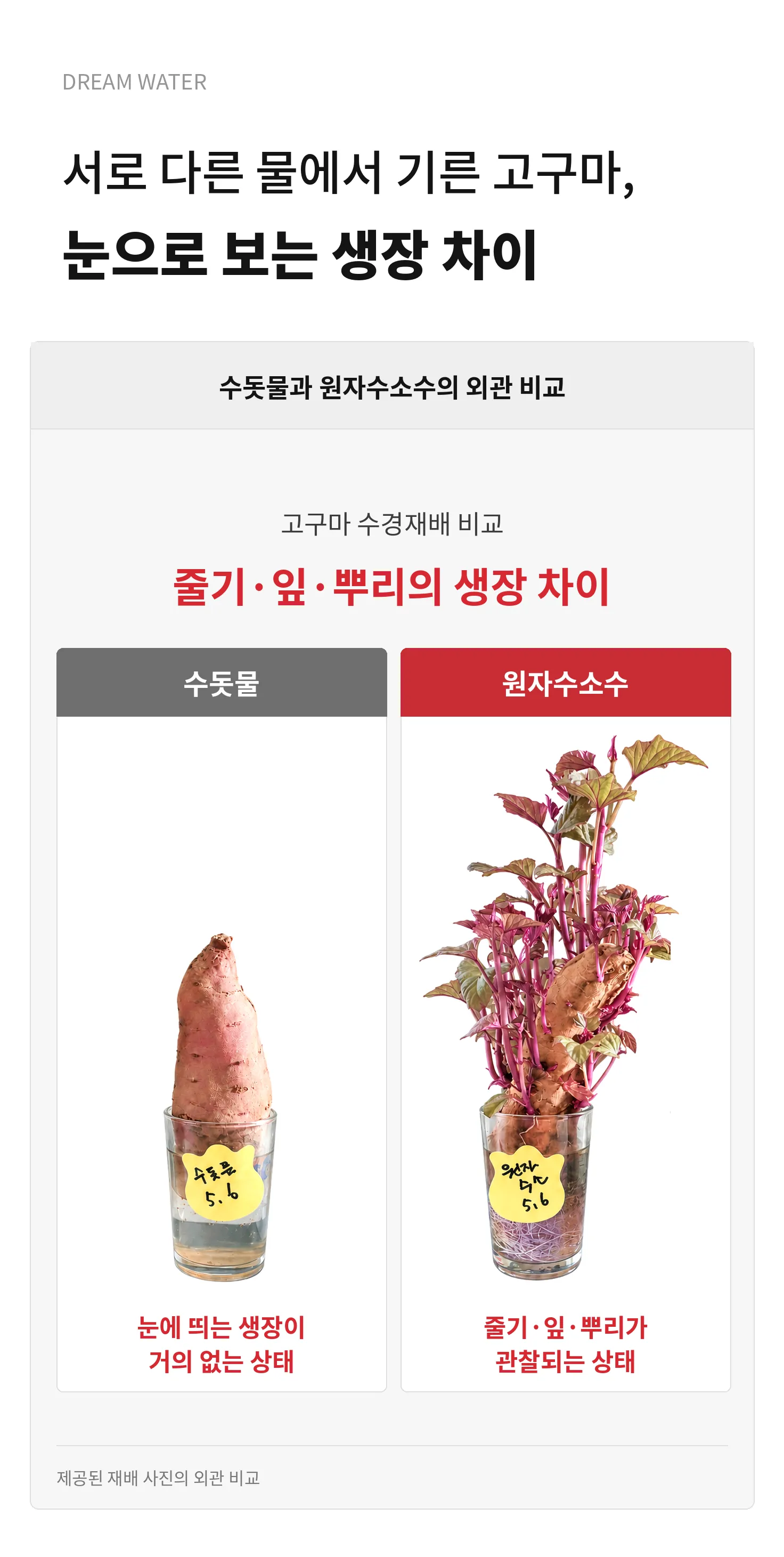 드림워터 / 원자 수소 정수기 상세 이미지 13