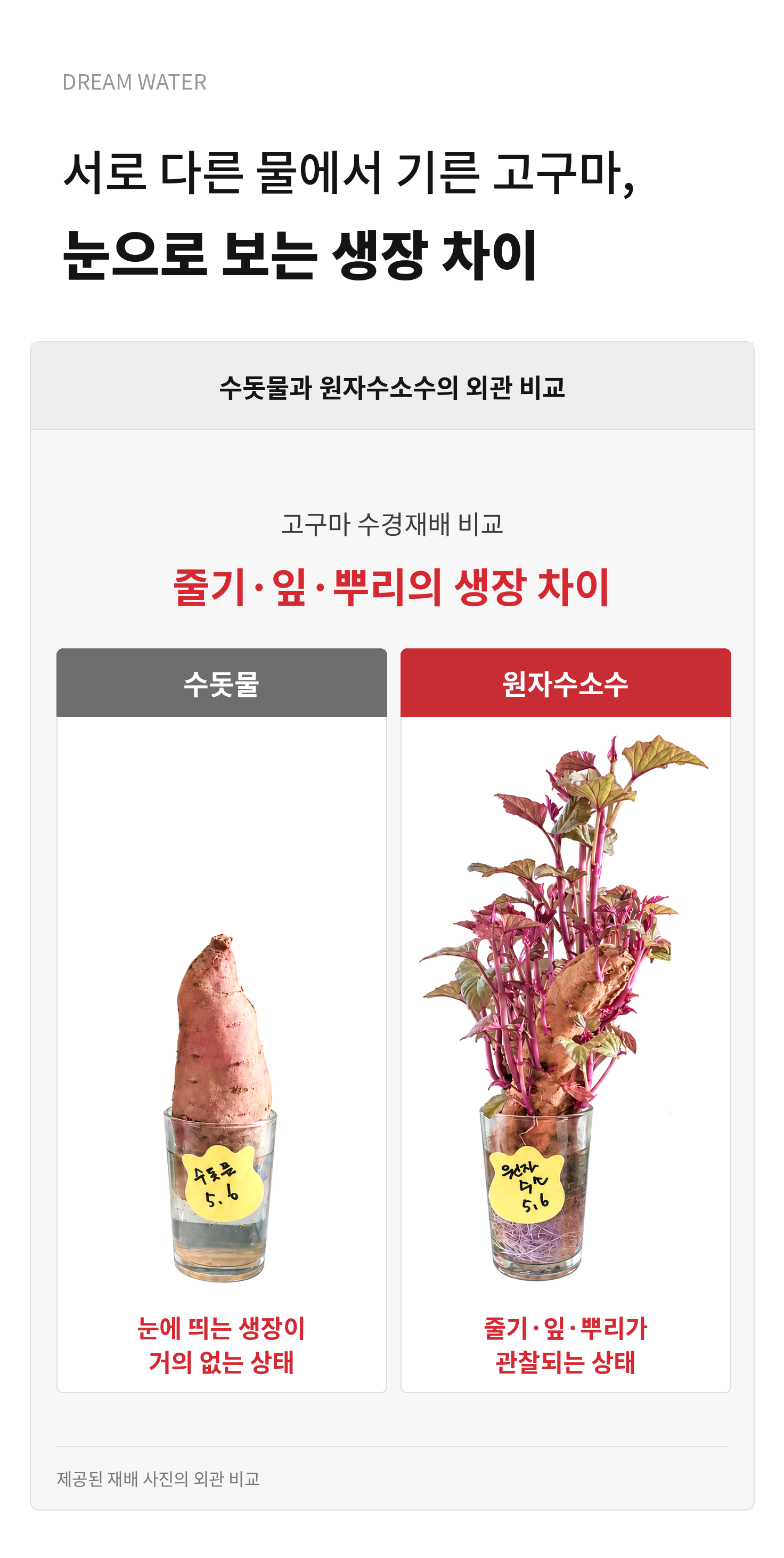 드림워터 / 텀블러 상세 이미지 14