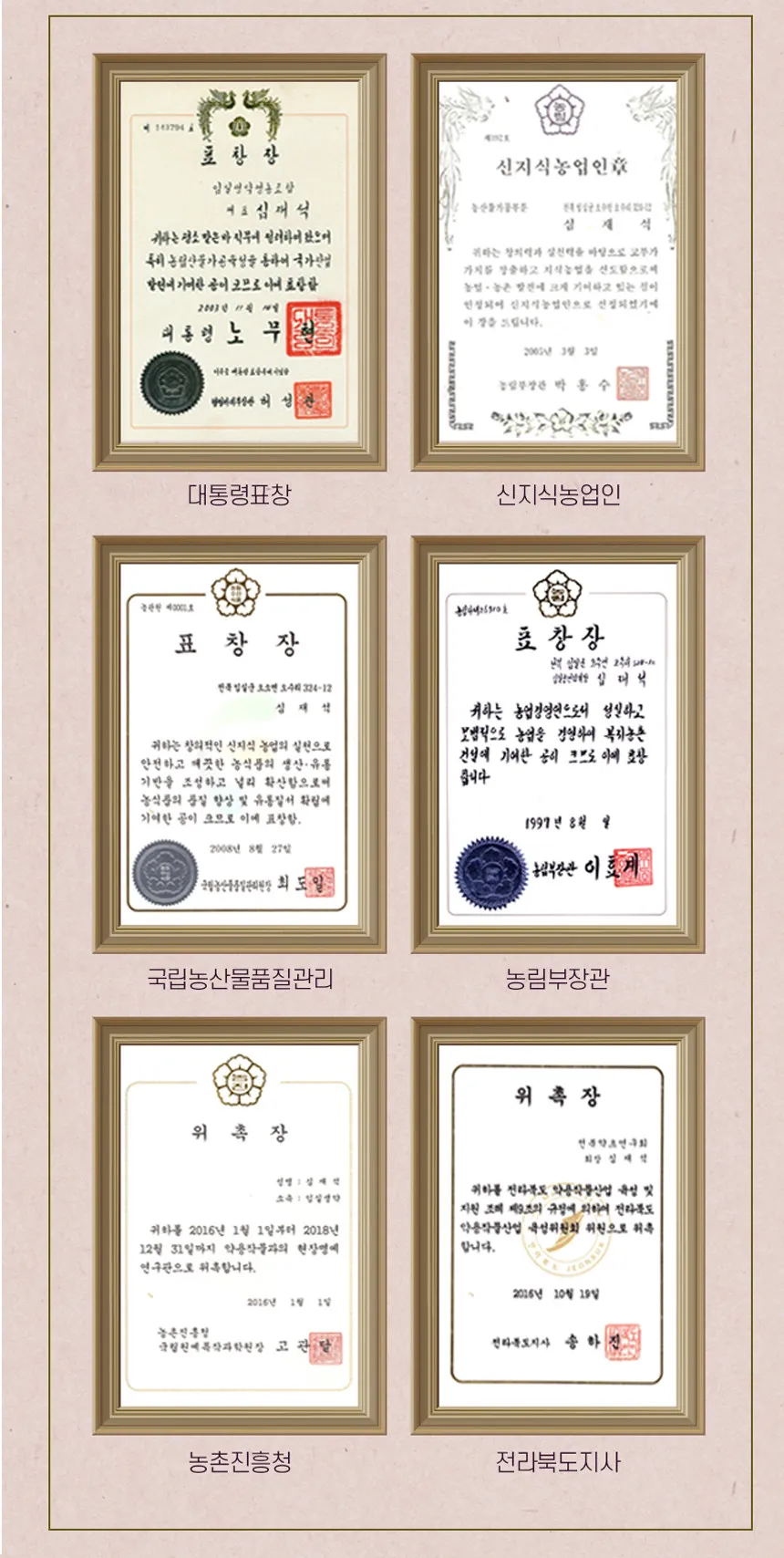 임페리얼 엉겅퀴 상세 이미지 4
